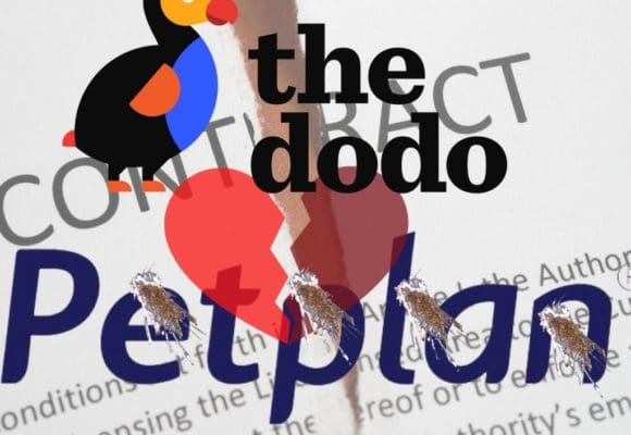 contractripdodopetplan contractripdodopetplan