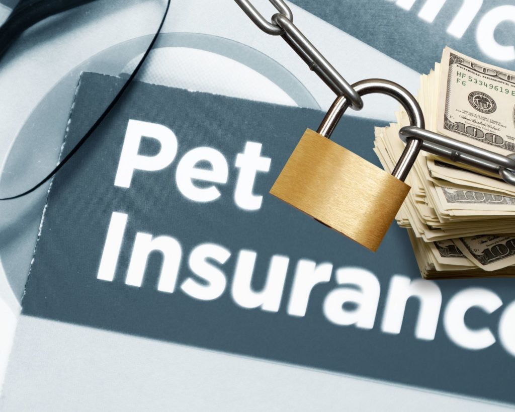 pet insurance disclosure featimg