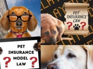pet insurance law