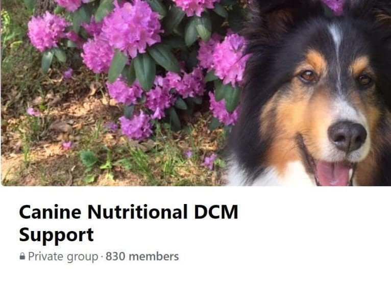 DCM Support Group