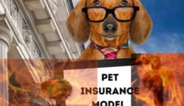 Pet Insurance Model Law Dropped Canine Review