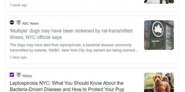 Press feasts on dog ‘death by rat urine’ lepto rumors — but NYC Health Dept. spox says no cases reported Press feasts on dog ‘death by rat urine’ lepto rumors — but NYC Health Dept. spox says no cases reported