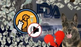 FDA-Featured Image fda dcm