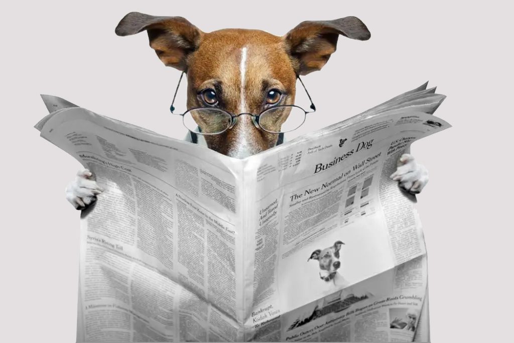 dog-newspaper-1024x683_grey
