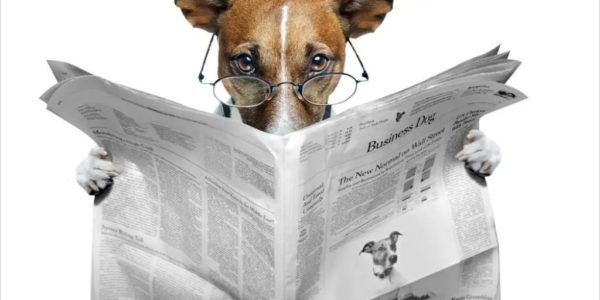 dog-newspaper-1024x683_outlined Dog reading newspaper
