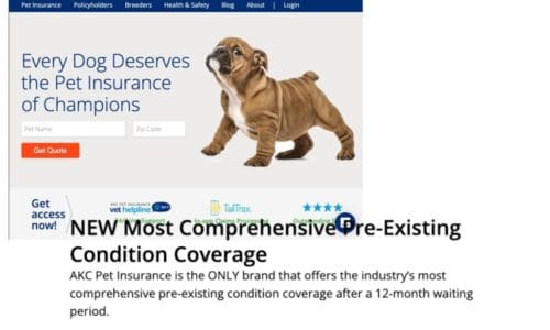 AKC Pet Insurance