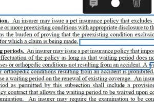 Maine pet insurance exclusions and waiting periods