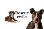 Rescue Profile