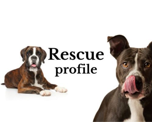 Rescue Profile