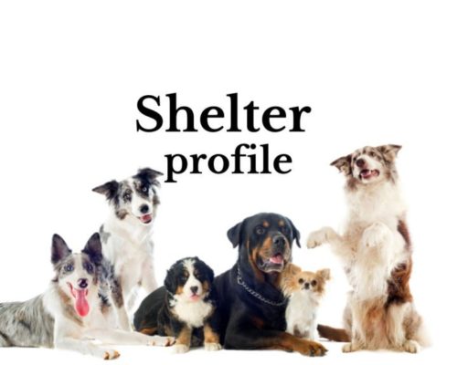 Shelter Profile
