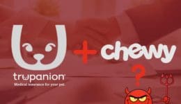 Chew and Trupanion: devilish deal or industry shift