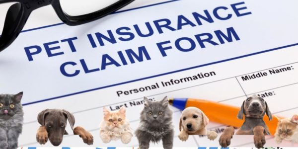 petinsurancedata data