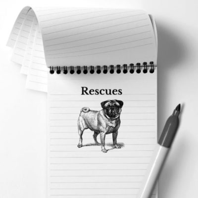 TCR-rescues-profile-image TCR Reporter Notebook Rescues Database