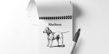 TCR's shelter profile database