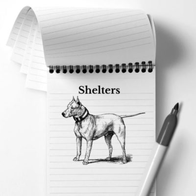 TCR-shelters-database-image TCR Reporter Notebook Shelters Database