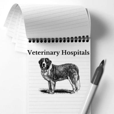 TCR Reporter Notebook Veterinary Hospital Database
