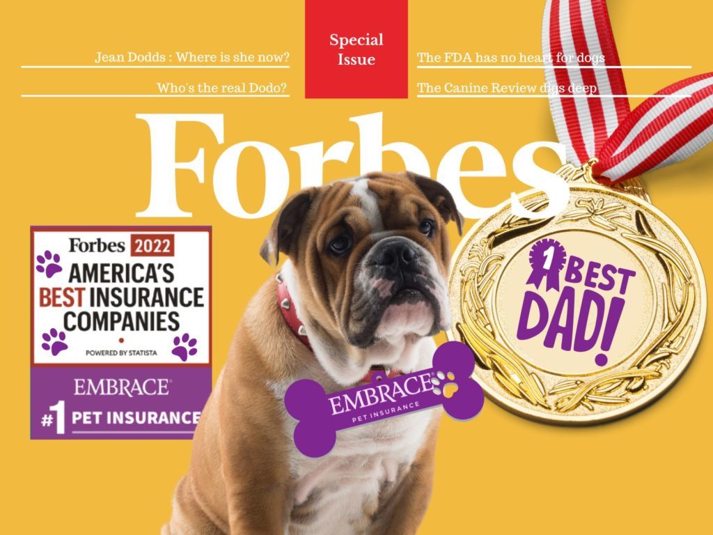 Forbes cover pet insurance