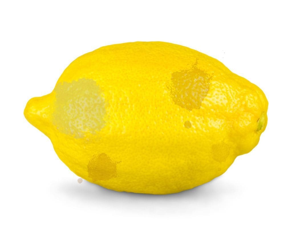 Picture of Lemon representing the Chewy-Lemonade-pet-insurance