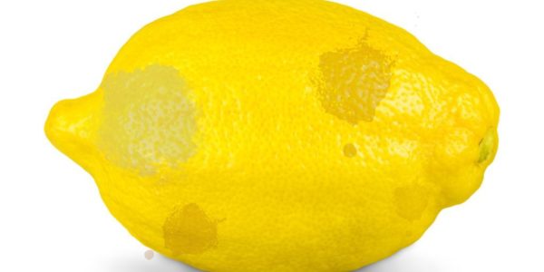 Picture of Lemon representing the Chewy-Lemonade-pet-insurance