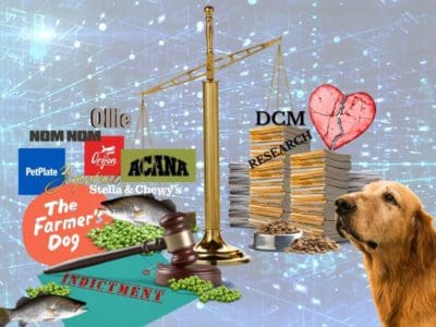 dcm-research-study-article-canine-review dcm-research-study-article-canine-review