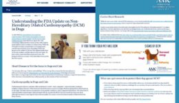 AMC Blog on FDA DCM update - The Canine Review