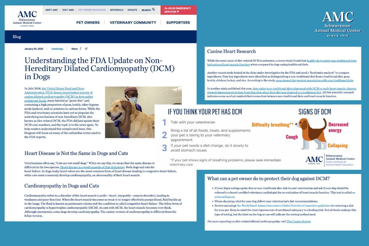 AMC Blog on FDA DCM update - The Canine Review