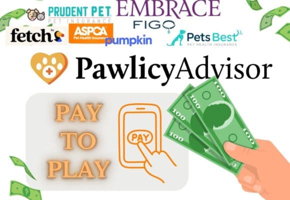 pawlicy pawlicy