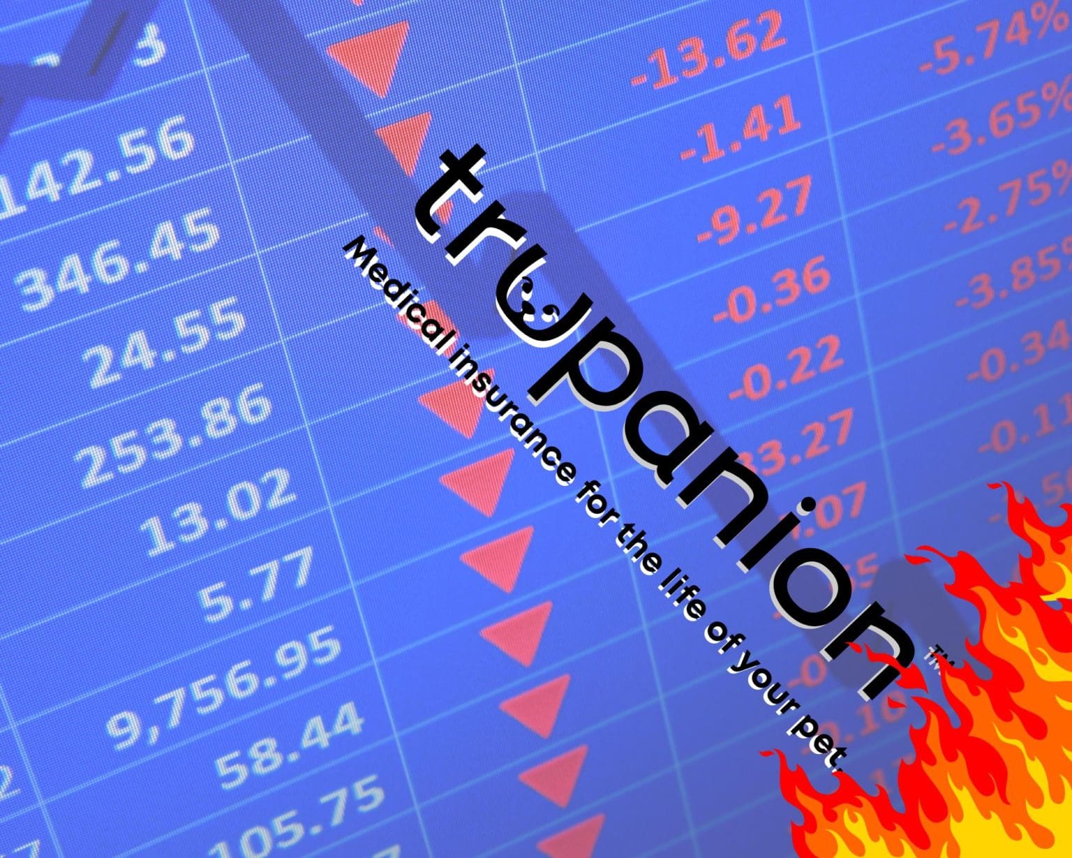 Trupanion stock plunge persists, CEO stays mum, loss ratios rise