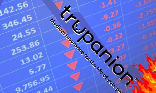 trupanion crash trupanion crash