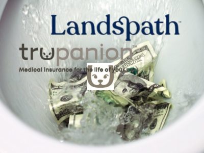 13 landspath