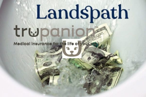 13 landspath