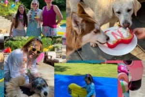 Party for dogs