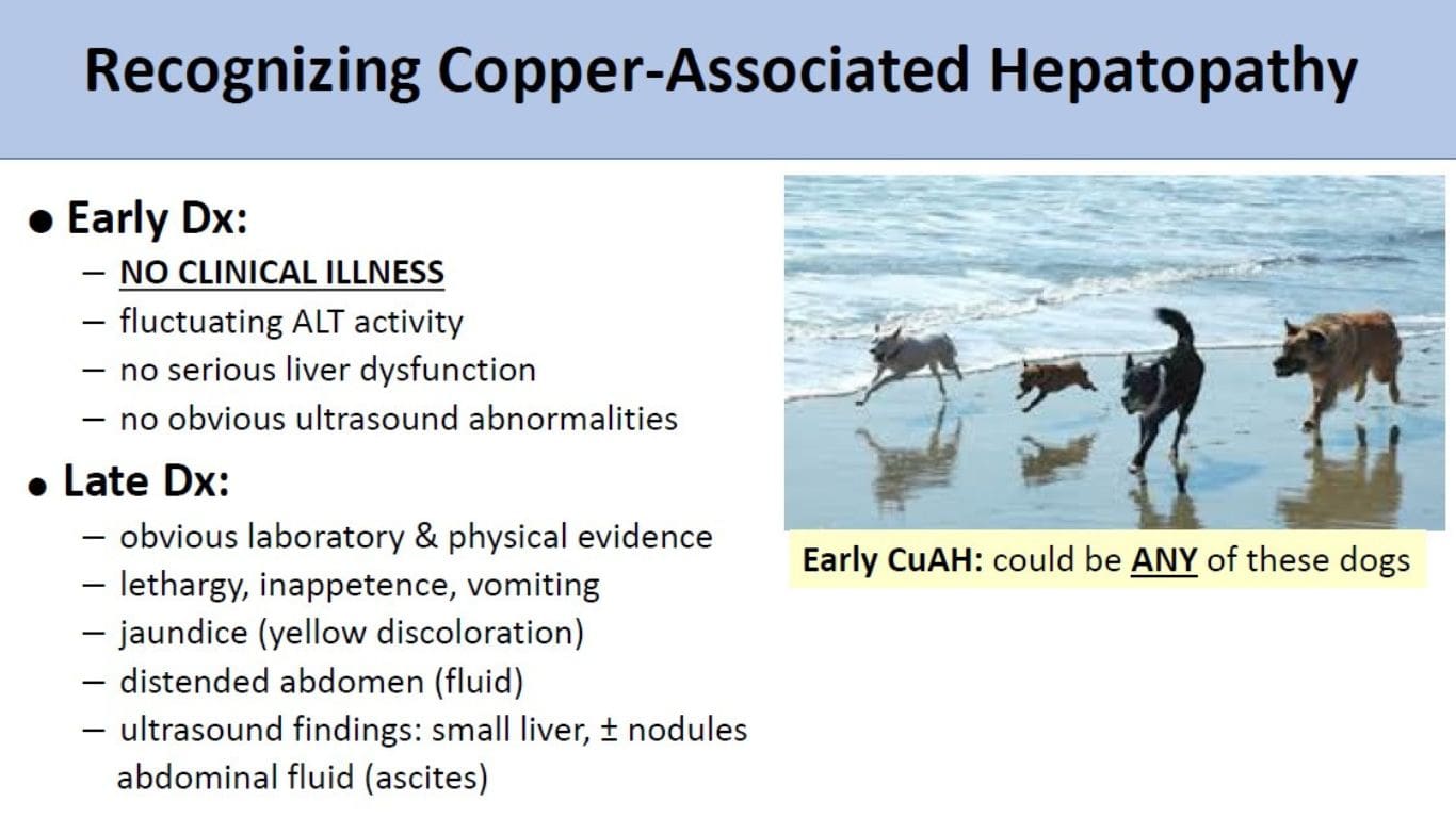 Copper Hepatopathy Working Group • SA Center, DVM, DACVIM et al.