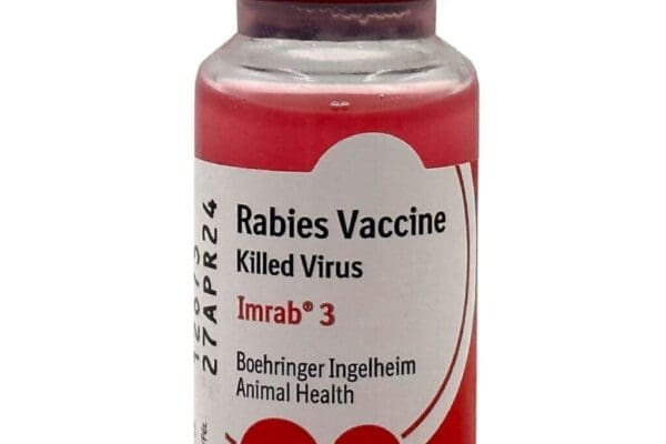 rabies vaccine