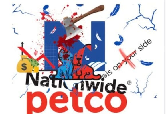 petconationwidepartners petconationwidepartners