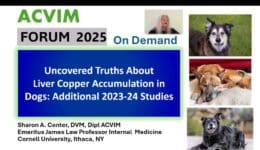 ACVIM 2025 Sharon Center Copper New Data