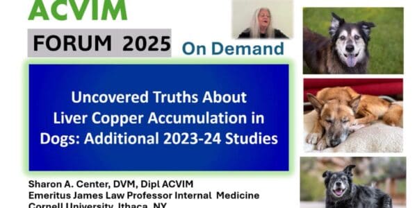 ACVIM 2025 Sharon Center Copper New Data