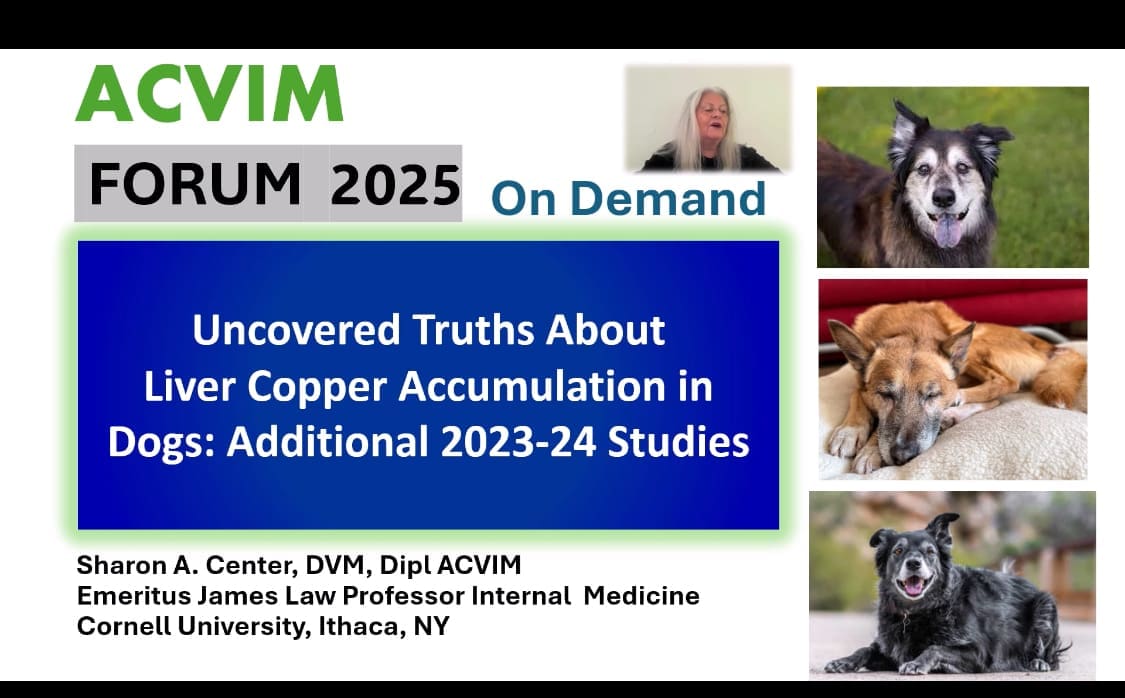 ACVIM 2025 Sharon Center Copper New Data ACVIM 2025 Sharon Center Copper New Data